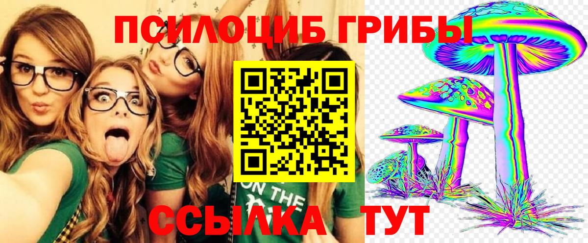 Галлюциногенные грибы Psilocybine cubensis  Вход с VPN  Галлюциногенные грибы GOLDEN TEACHER  Строитель 